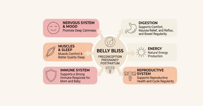 Belly Bliss – Nausea & Digestion Powder