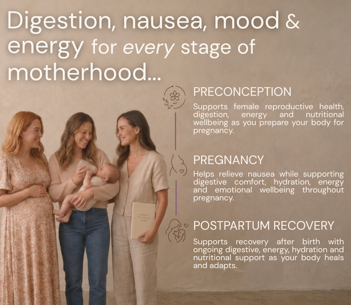 Maternal Journey Digestion and Nausea Support
