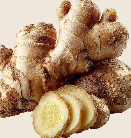 Ginger (Zingiber Officinale)