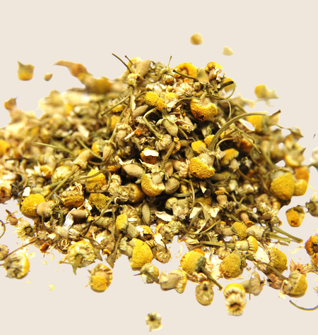 Chamomile (Matricaria Chamomilla) 
